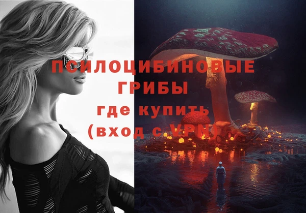 стафф Армянск