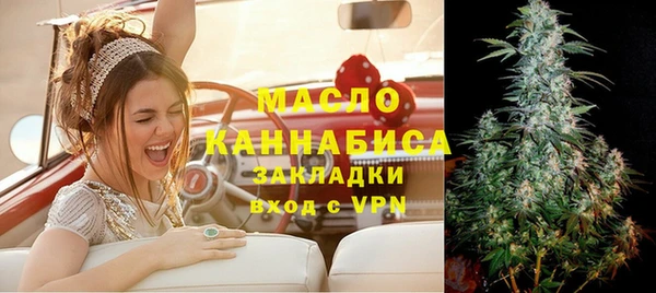 шишки Горно-Алтайск