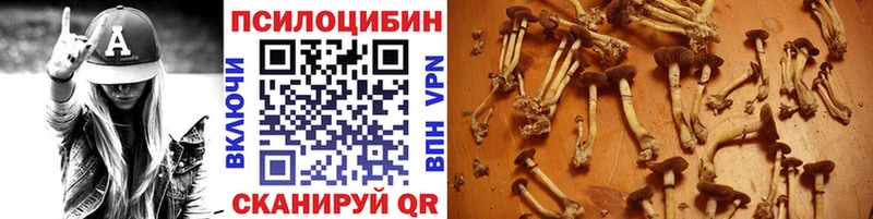 Псилоцибиновые грибы прущие грибы  как найти   сайты даркнета телеграм  Аркадак 